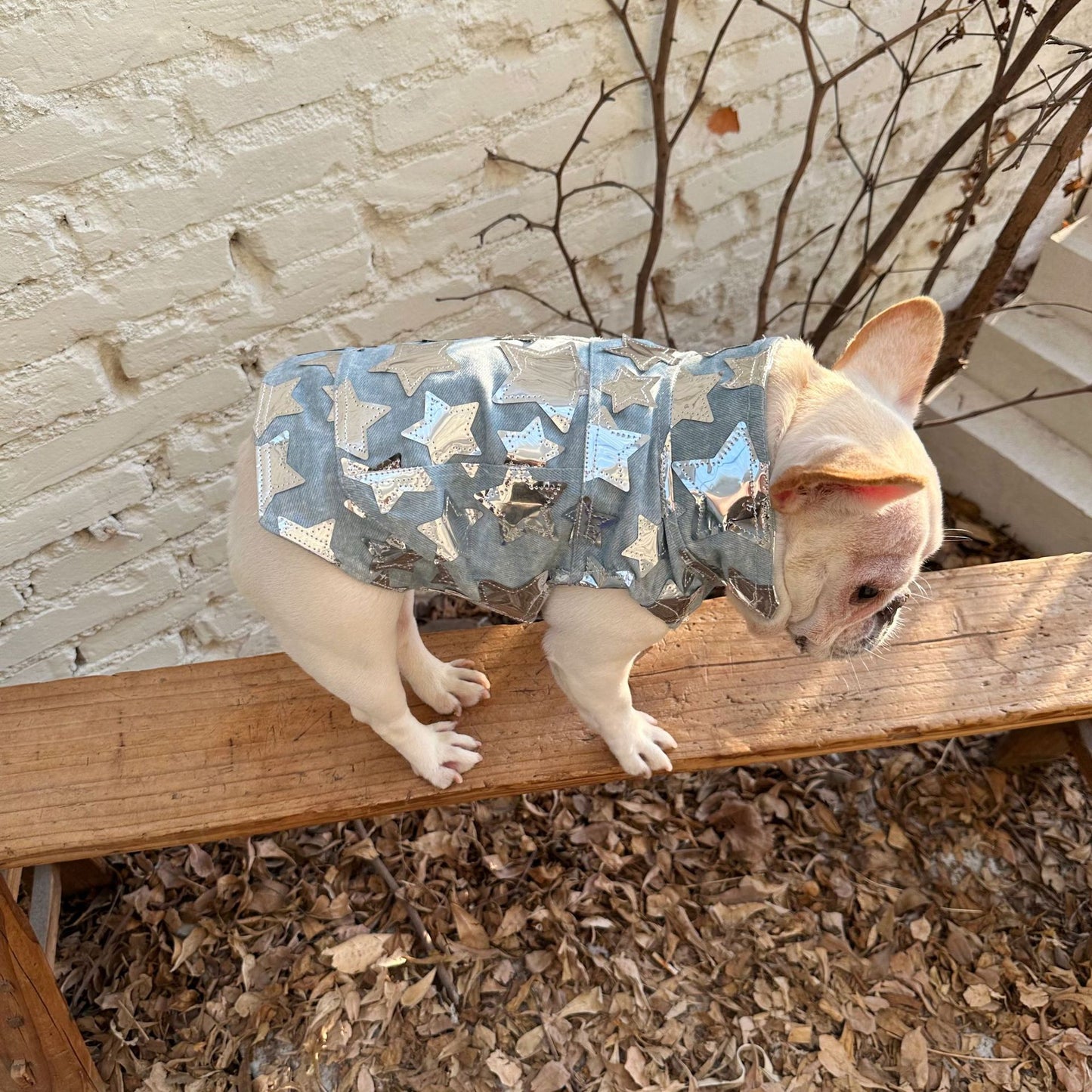 Starry Pup Denim Jacket