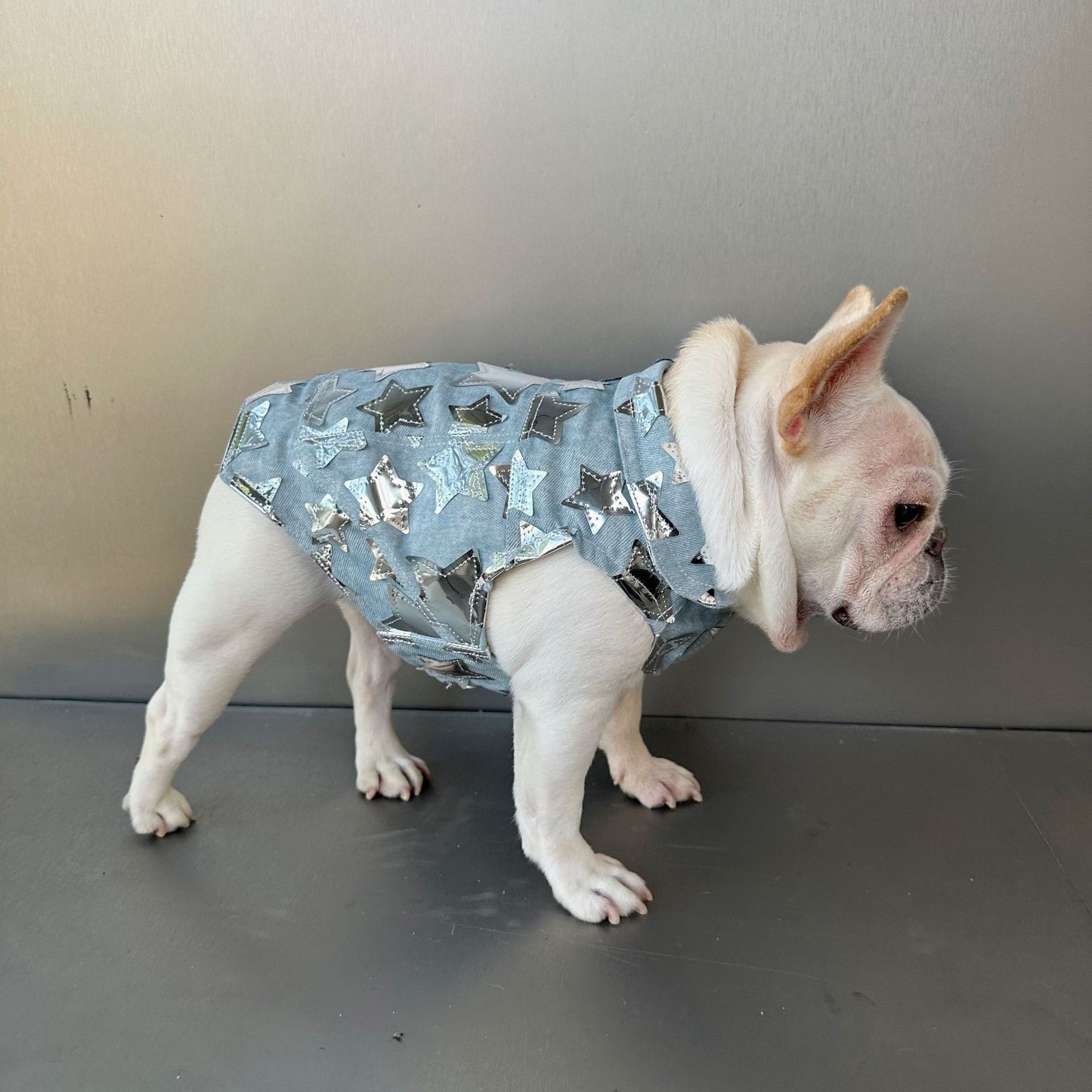 Starry Pup Denim Jacket